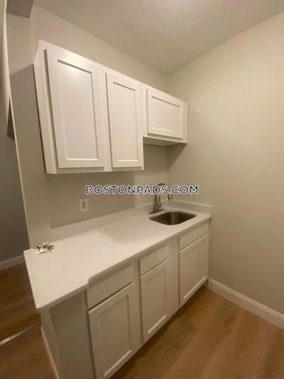 Fenway/kenmore 1 Bed 1 Bath BOSTON Boston - $3,900 No Fee