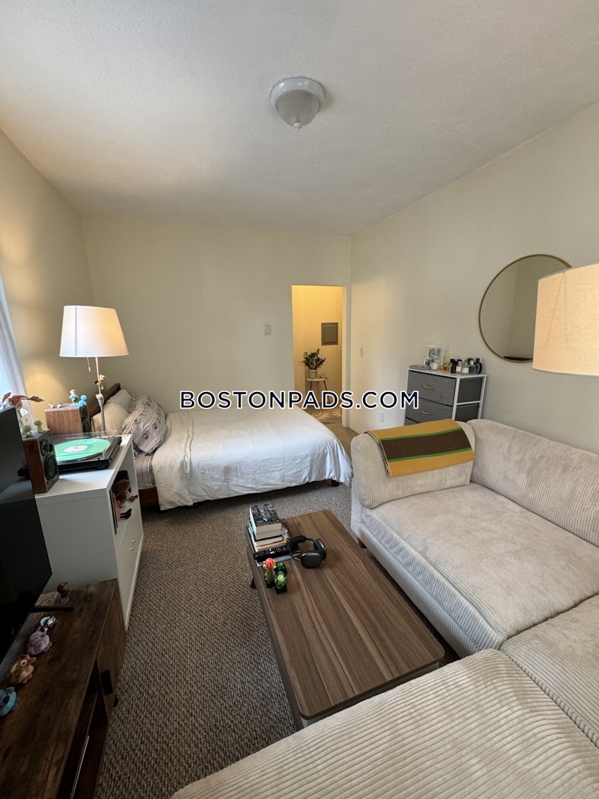 Boston - $3,900+ /month