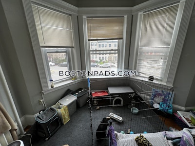 Fenway/kenmore 2 Beds 1 Bath Boston - $3,575 No Fee