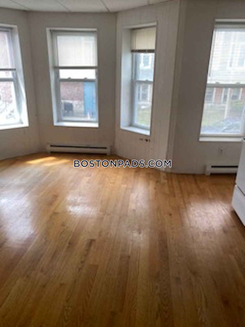 BOSTON - BRIGHTON - CLEVELAND CIRCLE - 1 Bed, 1 Bath - Image 5