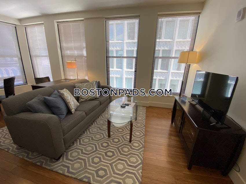 BOSTON - DOWNTOWN - 1 Bed, 1 Bath - Image 13