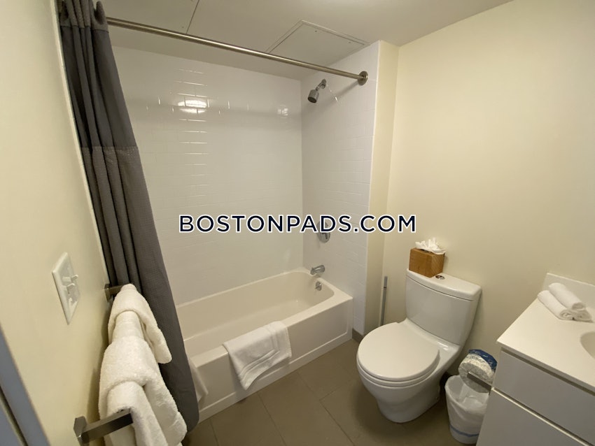 BOSTON - DOWNTOWN - 2 Beds, 2 Baths - Image 24