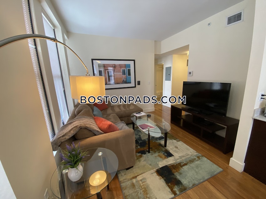 BOSTON - DOWNTOWN - 2 Beds, 2 Baths - Image 25
