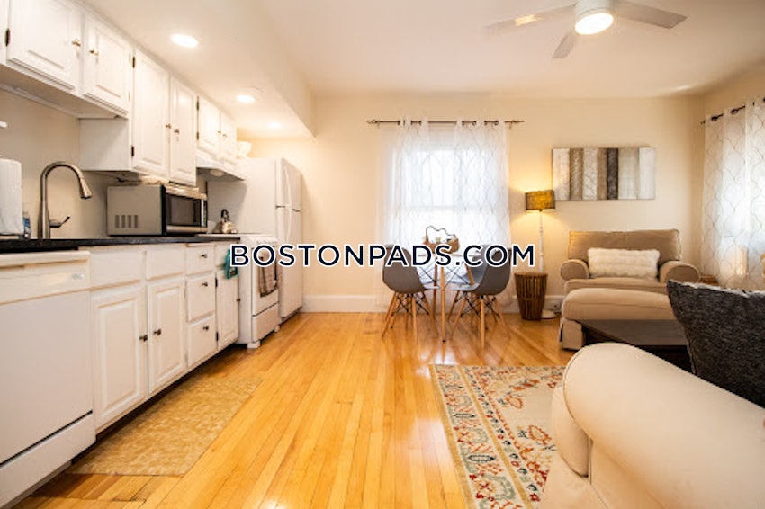 BOSTON - BRIGHTON - CLEVELAND CIRCLE - 1 Bed, 1 Bath - Image 8