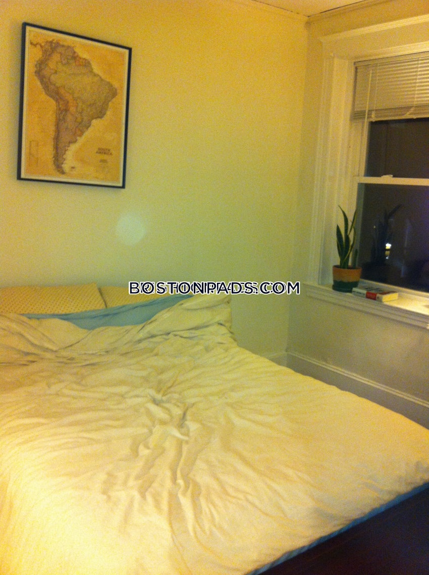 BOSTON - BRIGHTON- WASHINGTON ST./ ALLSTON ST. - 2 Beds, 1 Bath - Image 2