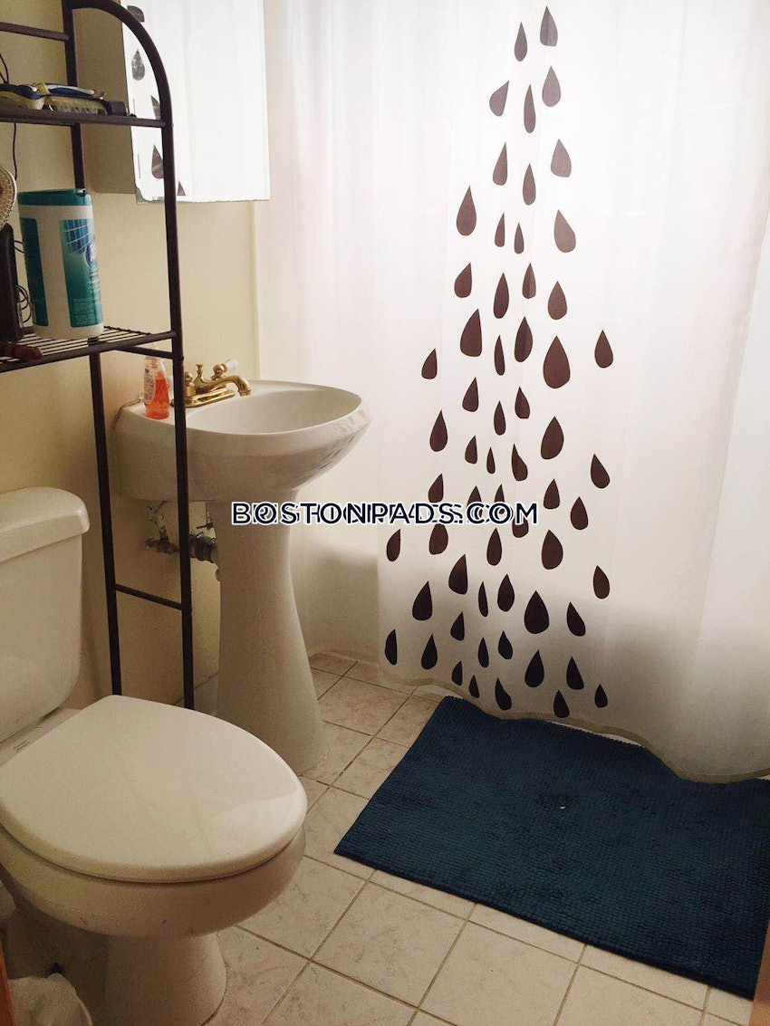 BOSTON - BRIGHTON- WASHINGTON ST./ ALLSTON ST. - 2 Beds, 1 Bath - Image 9