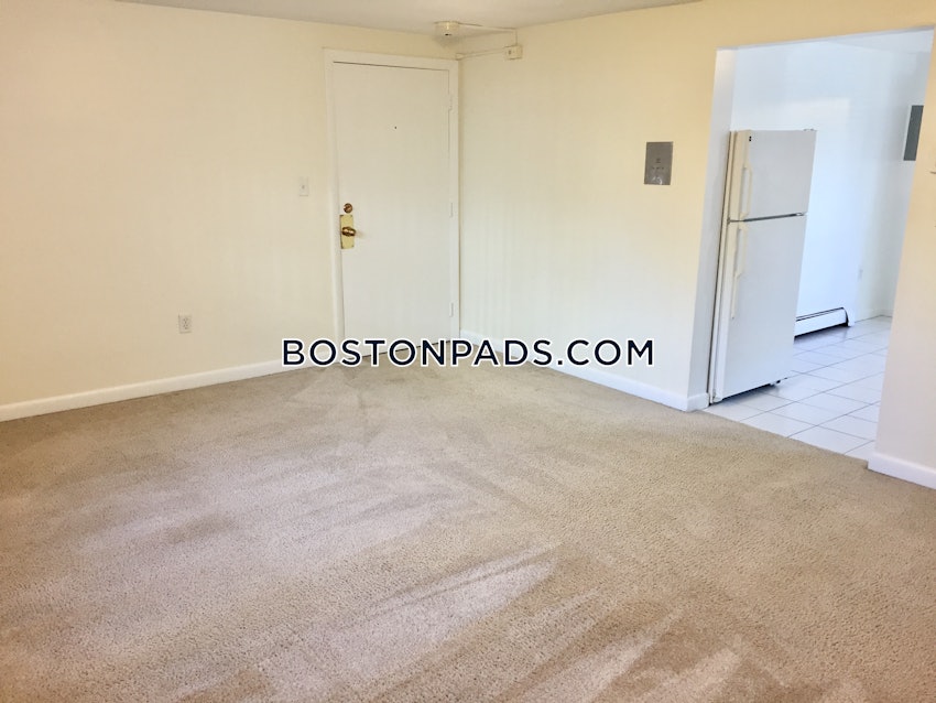 BOSTON - LOWER ALLSTON - 1 Bed, 1 Bath - Image 6