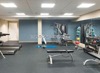 Massachusetts Ave Cambridge