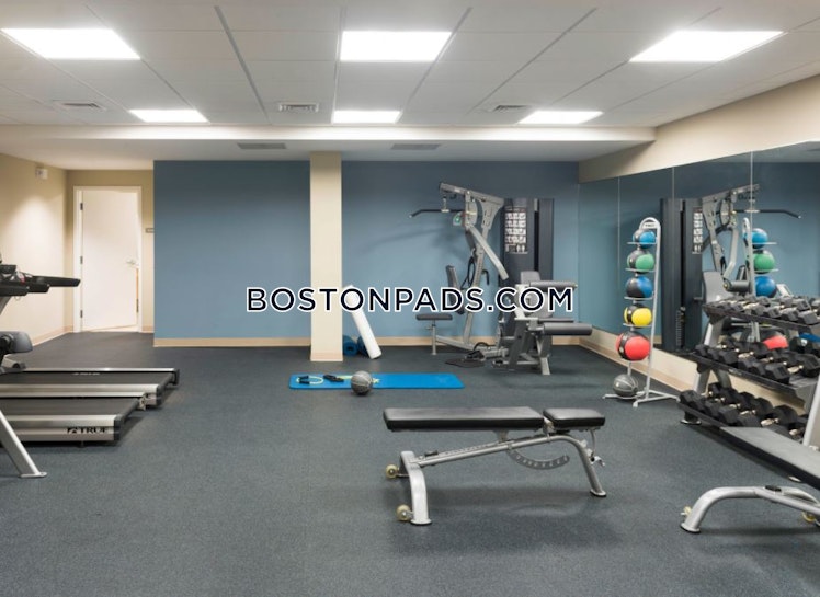 Massachusetts Ave, Cambridge