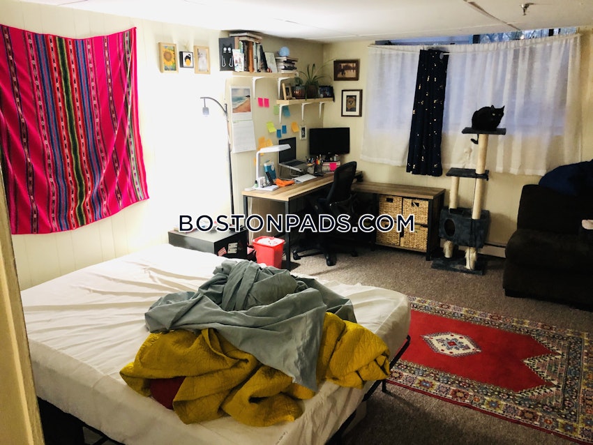 BOSTON - JAMAICA PLAIN - STONY BROOK - 2 Beds, 2 Baths - Image 6