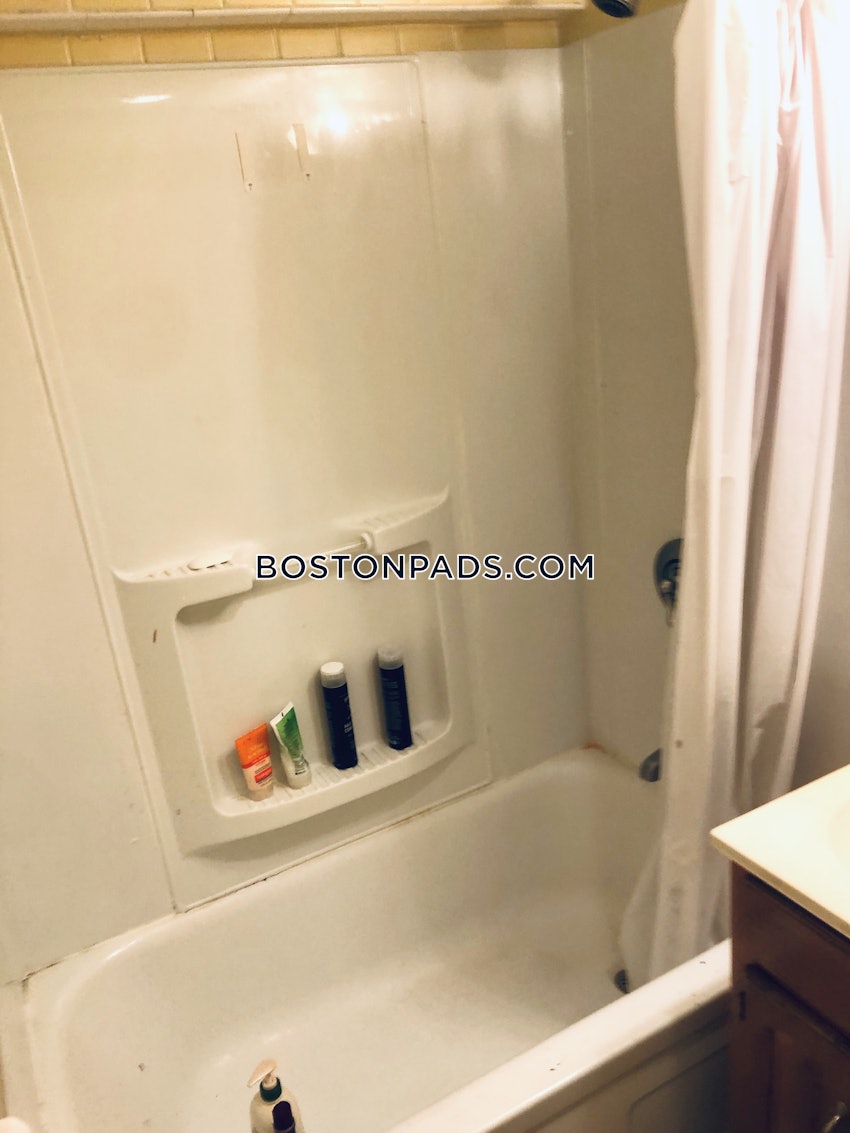 BOSTON - JAMAICA PLAIN - STONY BROOK - 2 Beds, 2 Baths - Image 22