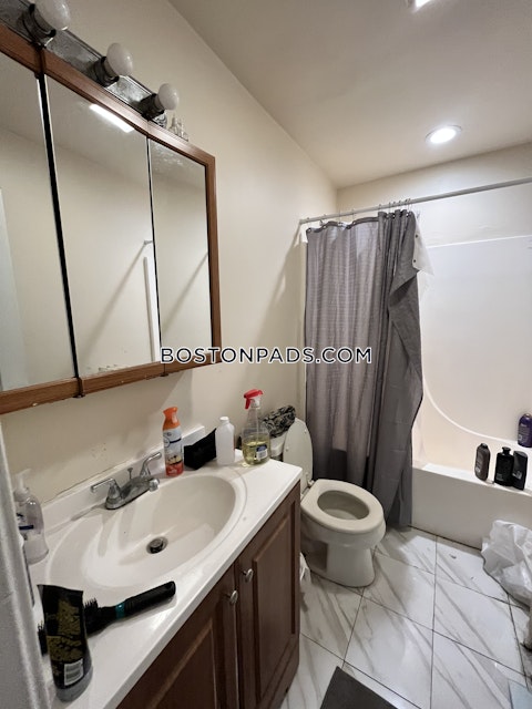 Commonwealth Ave. Boston photo 15