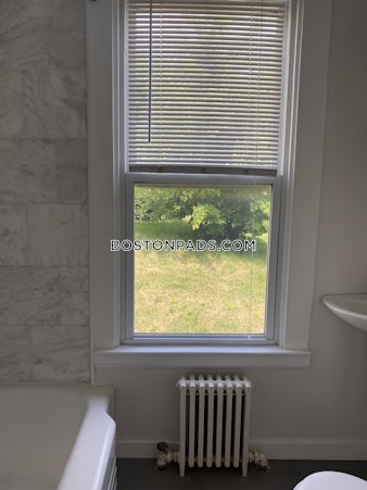 Curtis St. Somerville