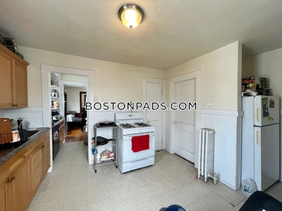 Brighton 3 Beds 1 Bath Boston - $3,600 No Fee