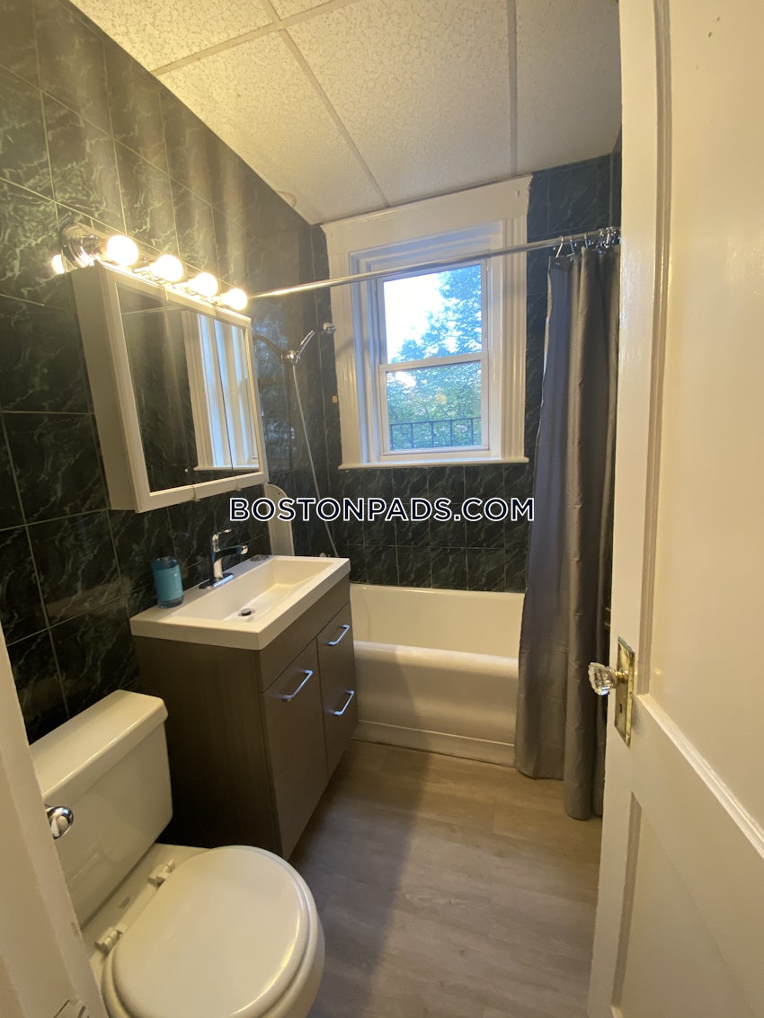 BOSTON - ALLSTON/BRIGHTON BORDER - 1 Bed, 1 Bath - Image 18