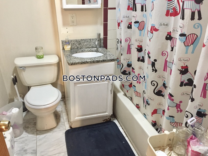 BOSTON - JAMAICA PLAIN - STONY BROOK - 3 Beds, 1 Bath - Image 42