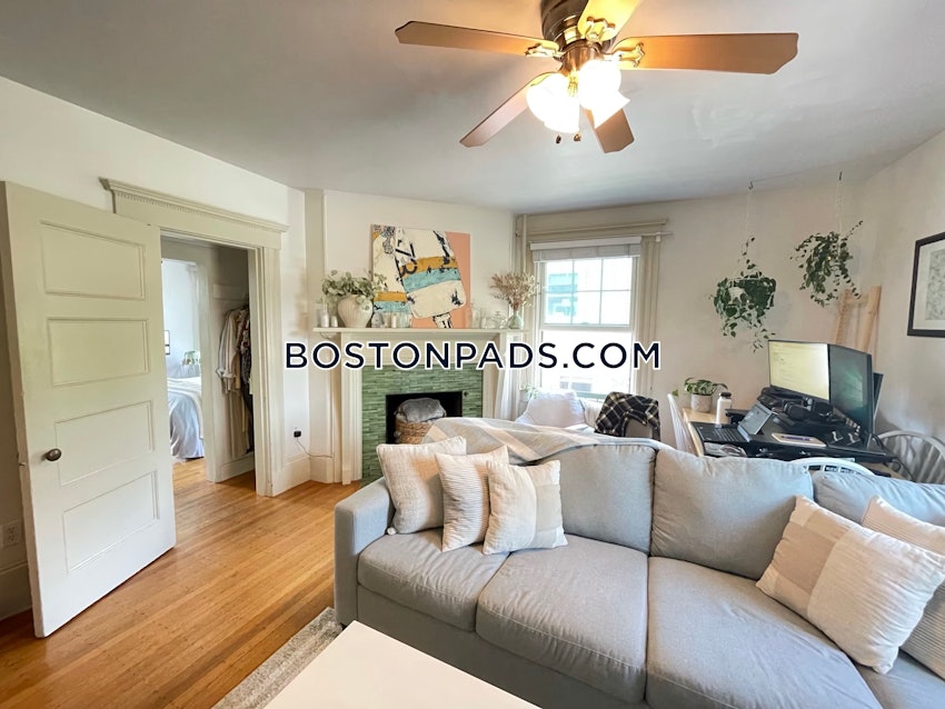 BOSTON - BRIGHTON - CLEVELAND CIRCLE - 1 Bed, 1 Bath - Image 7