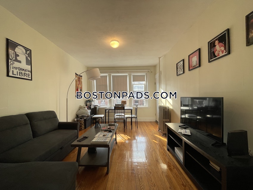 BOSTON - BRIGHTON - CLEVELAND CIRCLE - 2 Beds, 1 Bath - Image 10