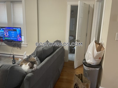 Mission Hill 2 Bed 1 Bath BOSTON Boston - $3,110 No Fee