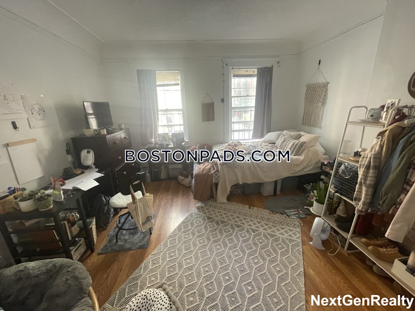 BOSTON - NORTHEASTERN/SYMPHONY - 3 Beds, 1 Bath - Image 6