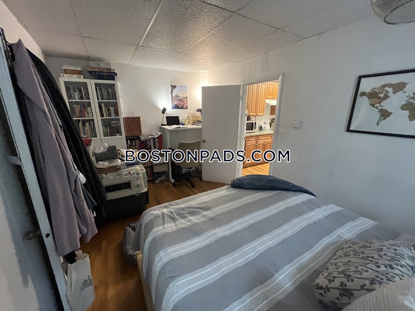 BOSTON - BRIGHTON - CLEVELAND CIRCLE - 1 Bed, 1 Bath - Image 4