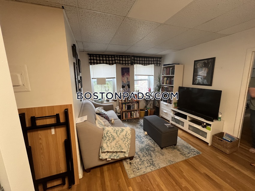 BOSTON - BRIGHTON - CLEVELAND CIRCLE - 1 Bed, 1 Bath - Image 2