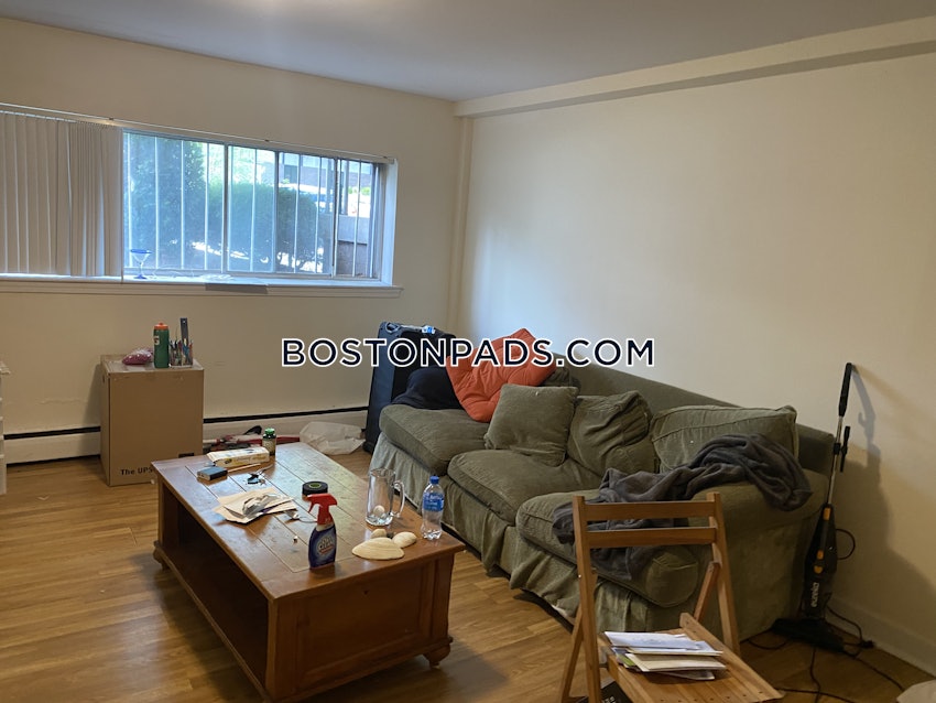 BOSTON - ALLSTON - 2 Beds, 1 Bath - Image 4