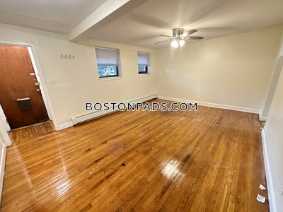 Brighton 1 Bed 1 Bath Boston - $2,050