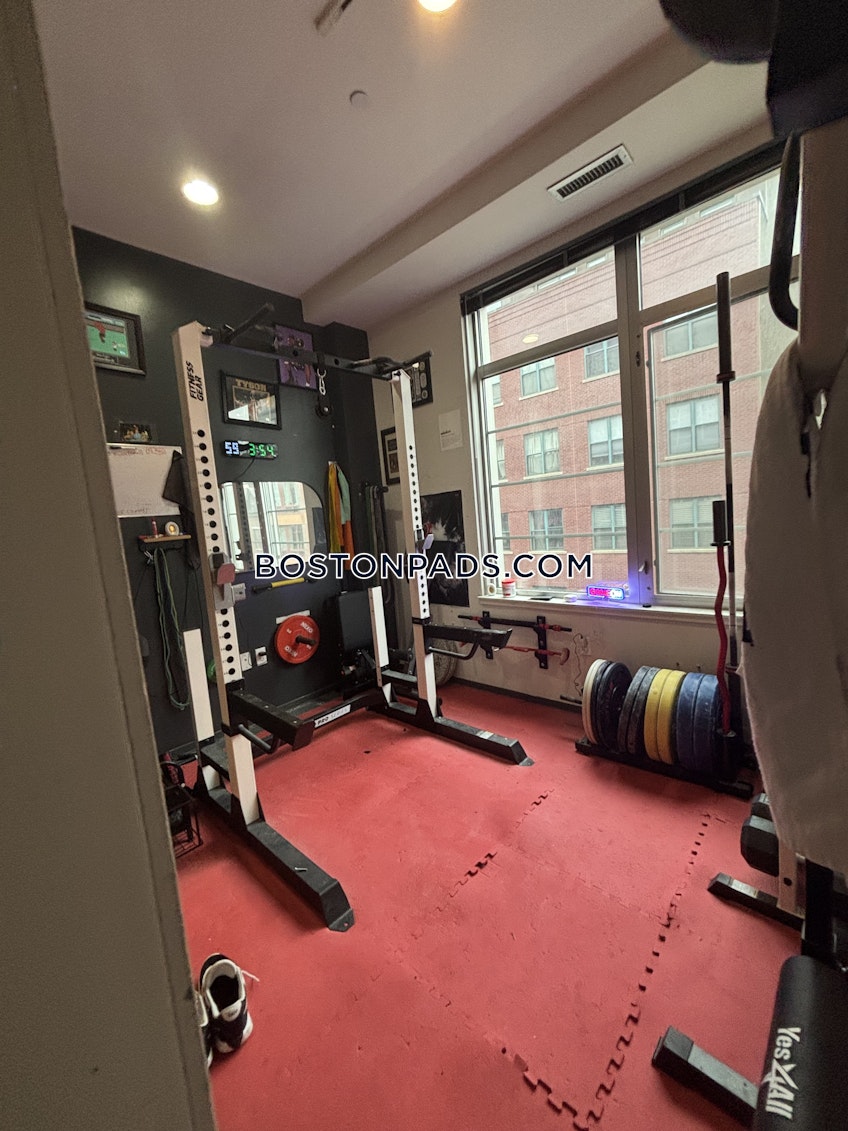 Boston - $4,000+ /month