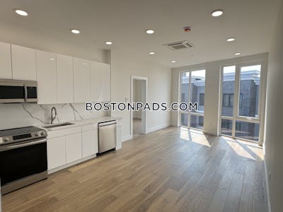 Brighton 1 Bed 1 Bath BOSTON Boston - $2,895 No Fee