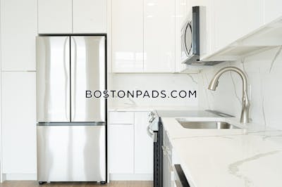 Brighton 1 Bed 1 Bath Boston - $2,895 No Fee