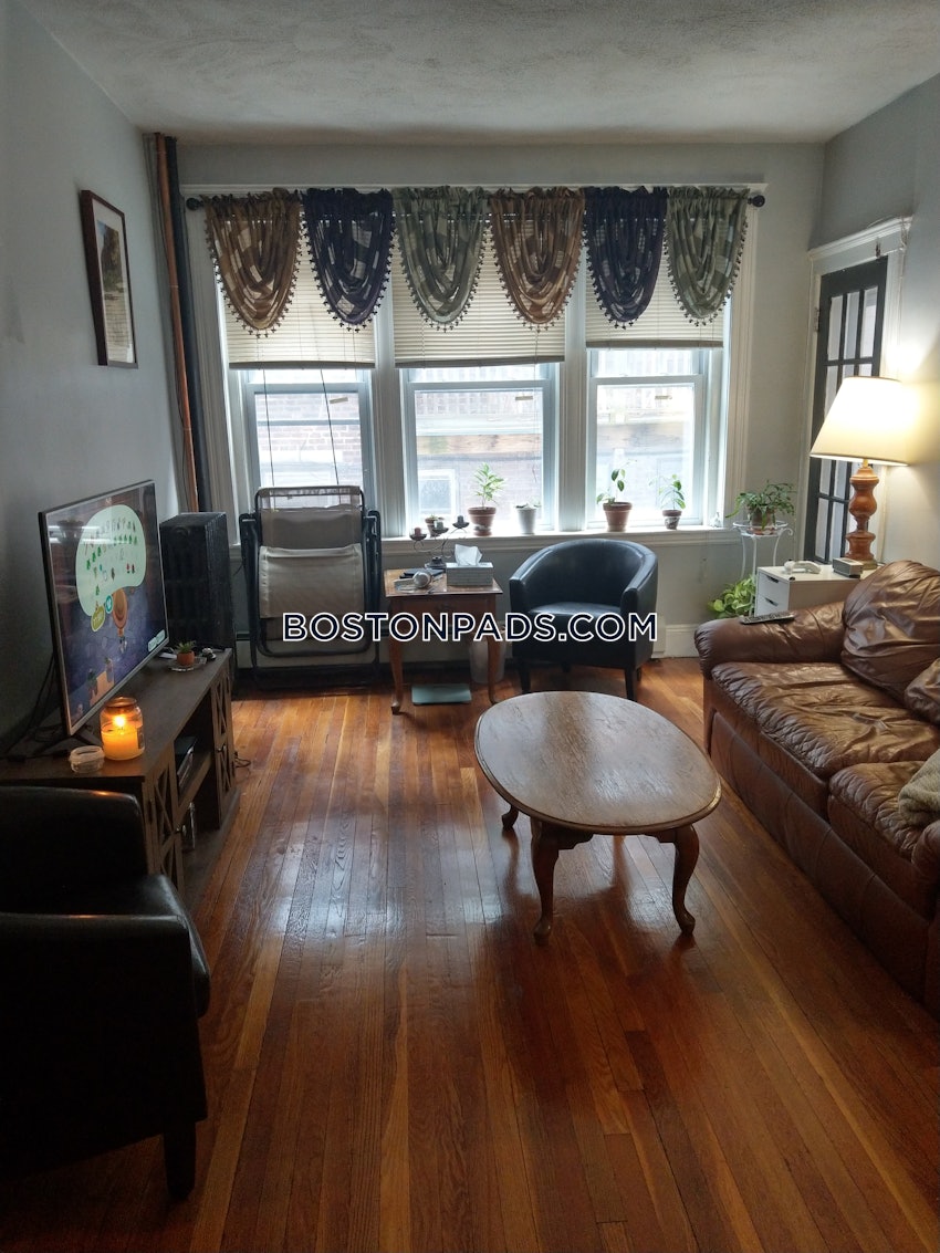 BOSTON - BRIGHTON - CLEVELAND CIRCLE - 1 Bed, 1 Bath - Image 4