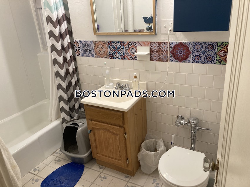 BOSTON - BRIGHTON - CLEVELAND CIRCLE - 1 Bed, 1 Bath - Image 10