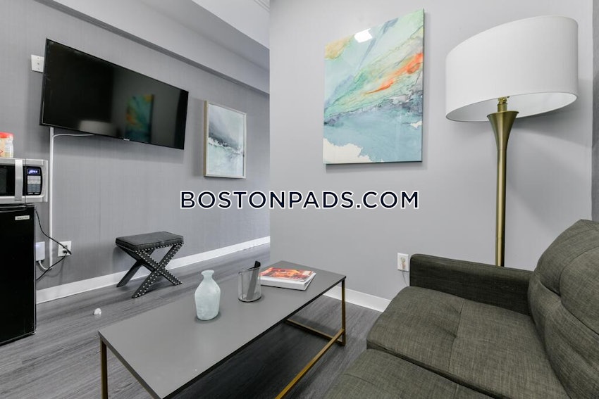 BOSTON - DOWNTOWN - Studio , 1 Bath - Image 25