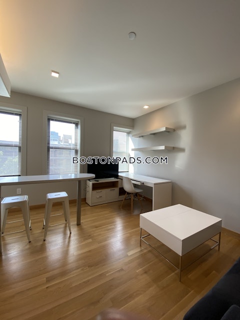 Mount Auburn St. Cambridge photo 11