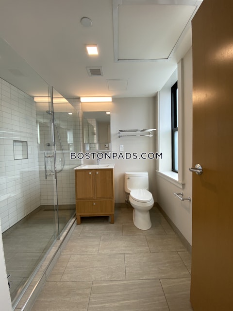 Mount Auburn St. Cambridge photo 16