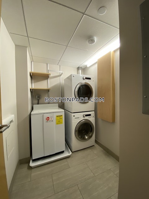 Mount Auburn St. Cambridge photo 6