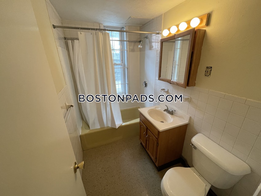 BOSTON - JAMAICA PLAIN - CENTER - 1 Bed, 1 Bath - Image 13