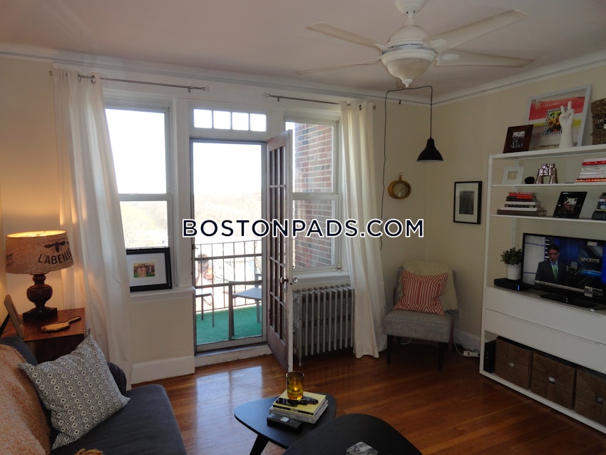 BOSTON - BRIGHTON - BOSTON COLLEGE - 1 Bed, 1 Bath - Image 6