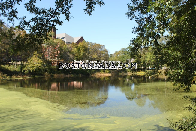 Quincy - $3,300+ /mo