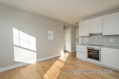 Brighton 1 Bed 1 Bath BOSTON Boston - $2,650