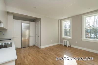 Brighton 1 Bed 1 Bath Boston - $2,650