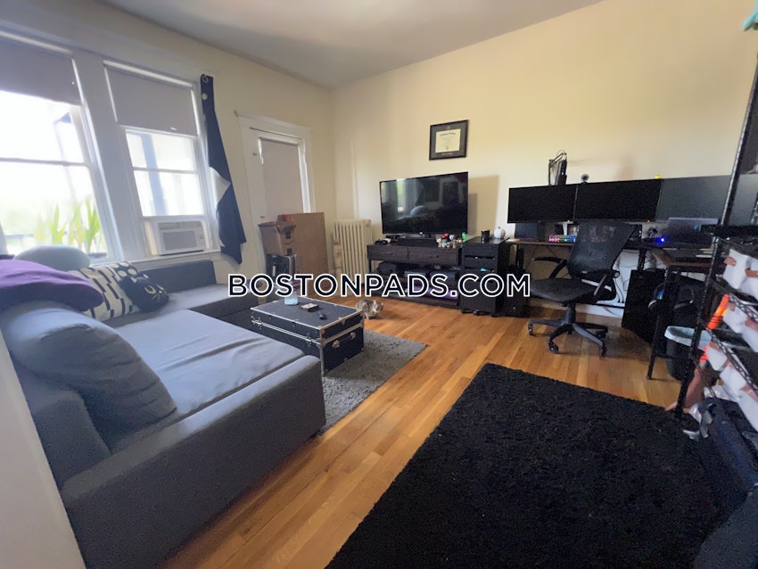 BOSTON - BRIGHTON- WASHINGTON ST./ ALLSTON ST. - 1 Bed, 1 Bath - Image 1