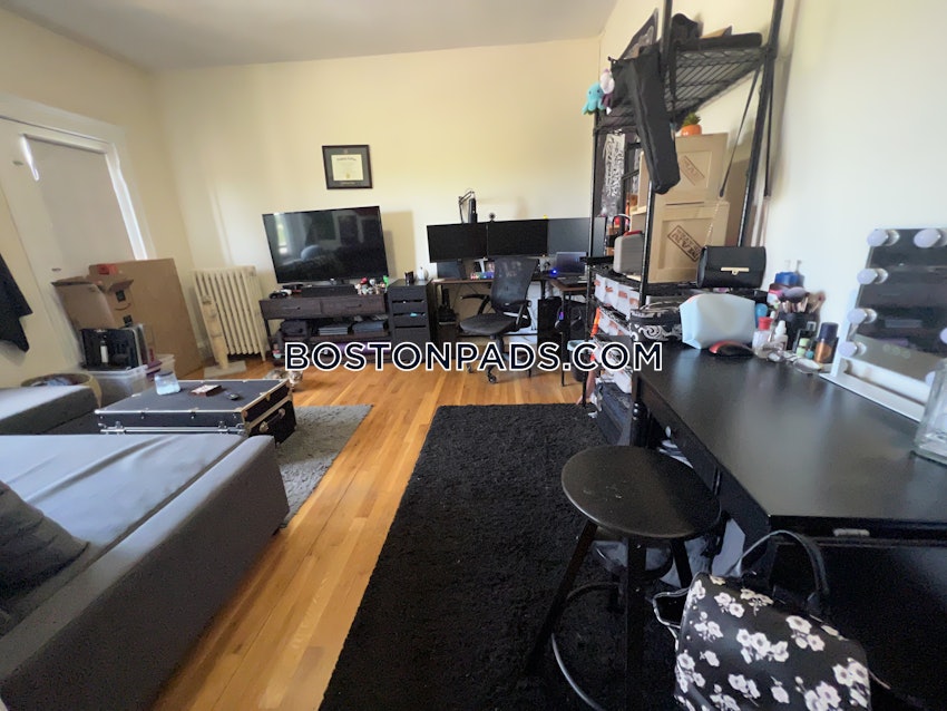 BOSTON - BRIGHTON- WASHINGTON ST./ ALLSTON ST. - 1 Bed, 1 Bath - Image 9