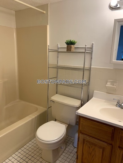 Allston 1 Bed 1 Bath BOSTON Boston - $2,600 No Fee