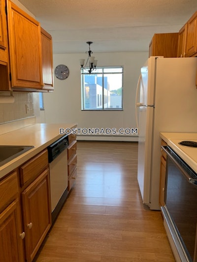 Allston 1 Bed 1 Bath Boston - $2,600 No Fee