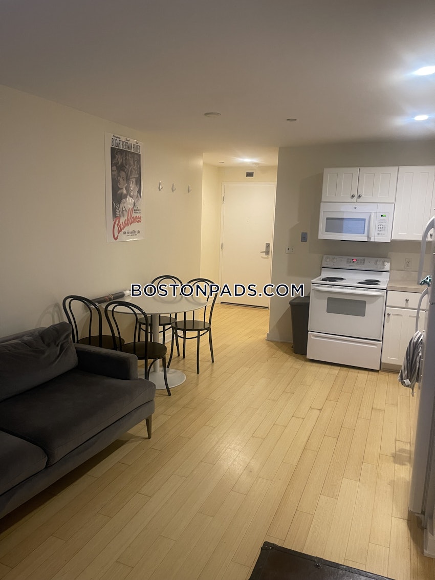 BOSTON - DOWNTOWN - 1 Bed, 1 Bath - Image 1