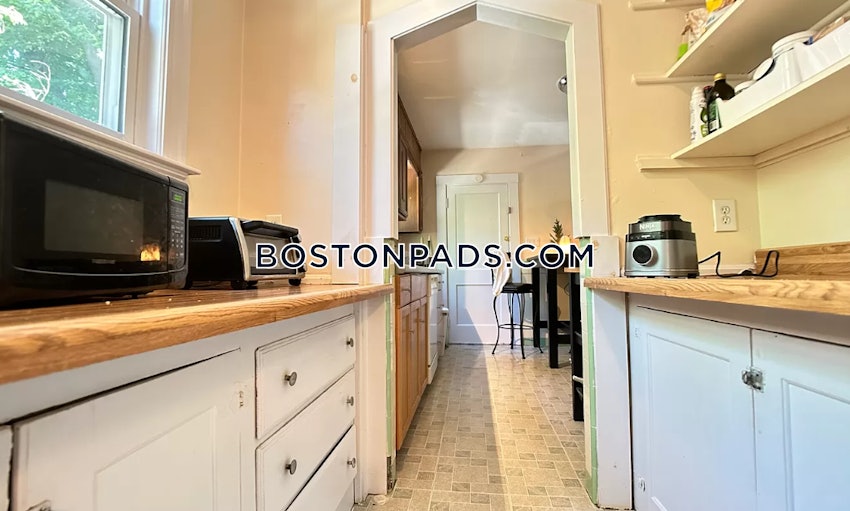 BOSTON - BRIGHTON - BOSTON COLLEGE - 2 Beds, 1 Bath - Image 2