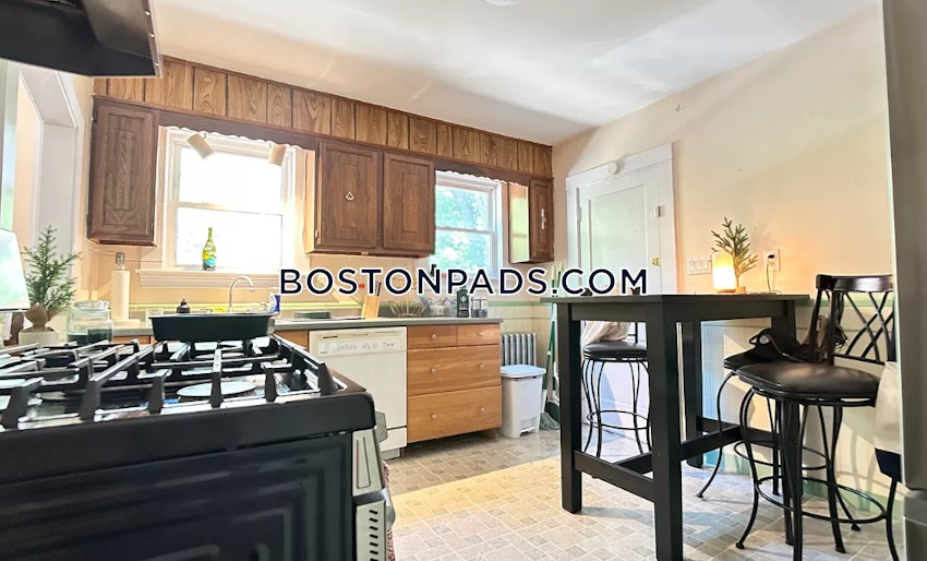 BOSTON - BRIGHTON - BOSTON COLLEGE - 2 Beds, 1 Bath - Image 3