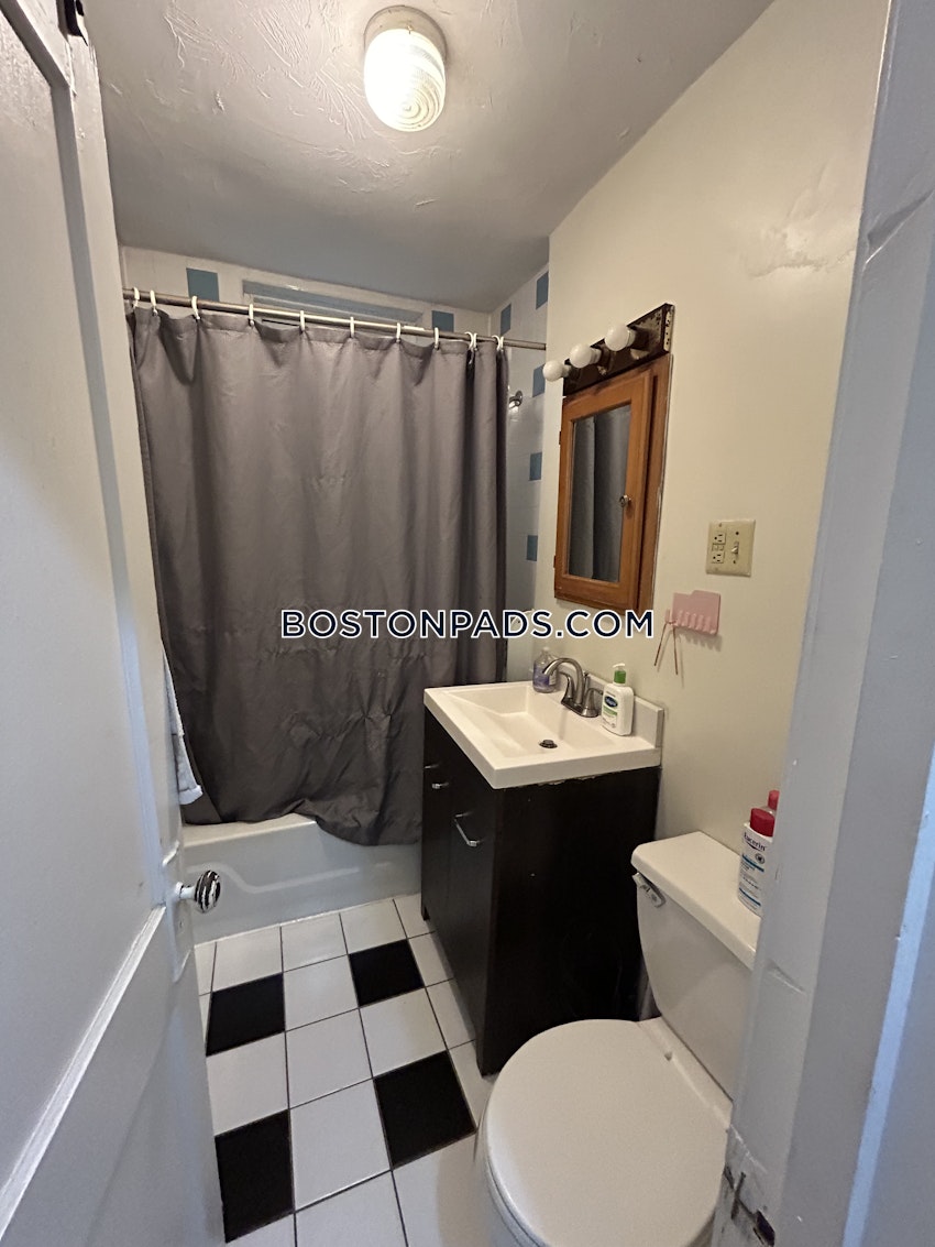 BOSTON - ALLSTON/BRIGHTON BORDER - Studio , 1 Bath - Image 11